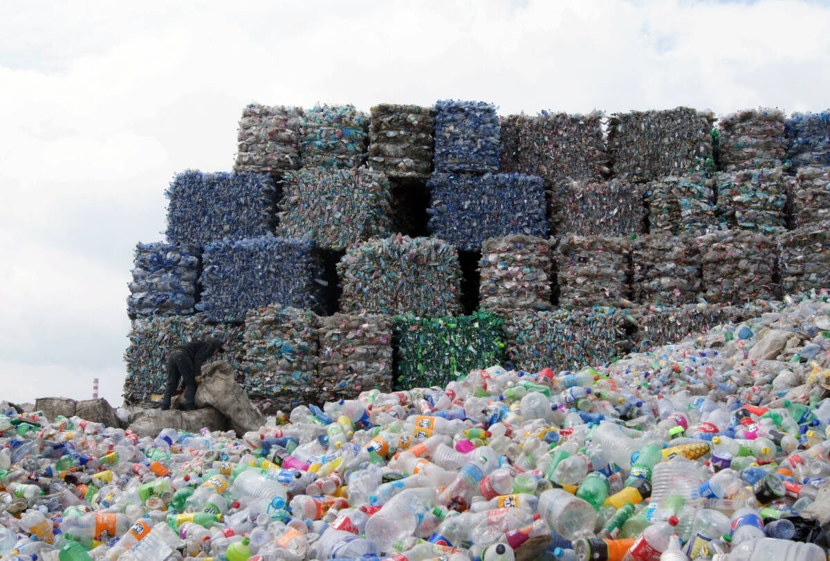 Fig. 4 : Une entreprise de recyclage de bouteilles plastiques et de cannettes, Oulan-Bator, 2019. Photo Anna Dupuy.