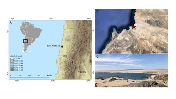 Redécouvrir le site de Bahía Maldonado (27°S)